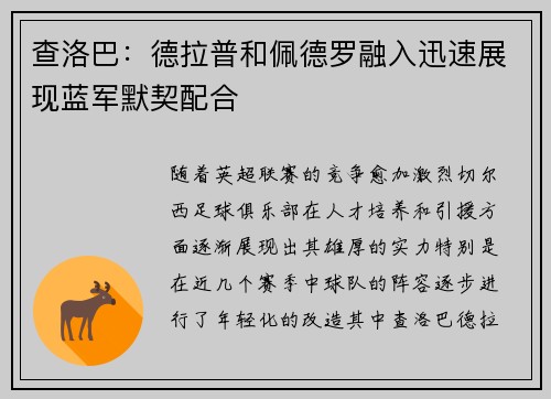 查洛巴：德拉普和佩德罗融入迅速展现蓝军默契配合